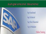 Best sap qm online training institute