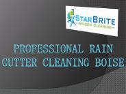Professional Rain Gutter Cleaning Boise