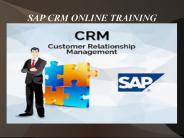 sap crm online  training in usa