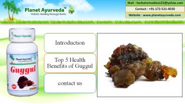 Five Health Benefits of Indian Bdellium or Guggul