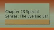 Chapter 13 Special Senses