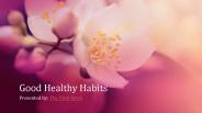 Good Healthy Habits