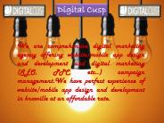 Digital Marketing Audit in TN