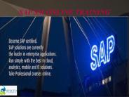 SAP SOLUTION MANAGER ONLINE TRAINING IN USA