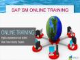 SAP SOLUTION MANAGER ONLINE TRAINING IN DUBAI PowerPoint PPT Presentation