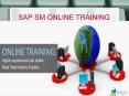 Sap SM Online Training in USA (1) PowerPoint PPT Presentation
