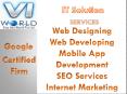 best and cheapest  IT services in noida-visainfoworld.com (2)