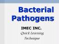 Bacterial Pathogens PowerPoint PPT Presentation