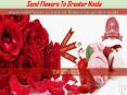 Send Flowers To Greater Noida | Greater Noida online florist