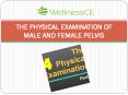 THE PHYSICAL EXAMINATION OF MALE AND FEMALE PELVIS PowerPoint PPT Presentation