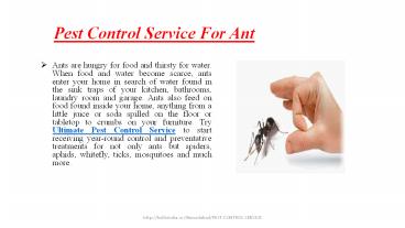 Pest control services for Ant