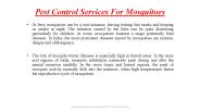 Pest Control Services For Mosquitoes