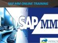 Sap Material Managemet Online Training PowerPoint PPT Presentation