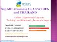 sap mdg training in thailand PowerPoint PPT Presentation