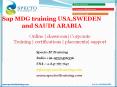 sap mdg training in france PowerPoint PPT Presentation