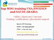 sap mdg training in france