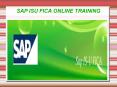 Sap ISU FICA Online Training in USA PowerPoint PPT Presentation