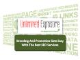 Branding and promotion gets easy with the best search engine optimization services PowerPoint PPT Presentation