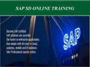 sap sd online training in usa