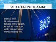 sap sd online training certification