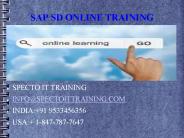 sap sales and distribution online training
