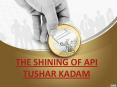 THE SHINING OF API TUSHAR KADAM PowerPoint PPT Presentation