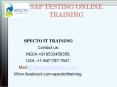 BEST SAP TESTING ONLINE TRAINING PowerPoint PPT Presentation