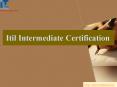 itil certification in delhi (3) PowerPoint PPT Presentation
