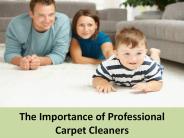 The Importance of Professional Carpet Cleaners