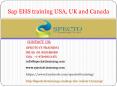 sap ehs training in usa,uk,canada PowerPoint PPT Presentation
