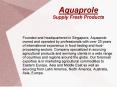 Meat Suppliers, Dairy Products, Fishing Services Singapore PowerPoint PPT Presentation
