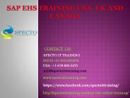 sap ehs training in usa,uk,australia