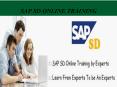 sap sd online training courses PowerPoint PPT Presentation