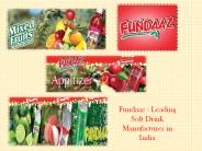 Fundaaz : Leading Soft Drinks Manufacturer in India