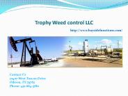 Weed Control Odessa TX (1)