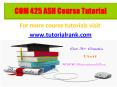 COM 425 learning consultant / tutorialrank.com PowerPoint PPT Presentation