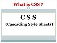 What is CSS