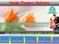 Send Flowers To Noida | Noida online florist