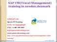 sap tm training in uk,denmark PowerPoint PPT Presentation