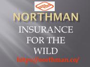 Climbing Service By Northman