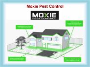 Chandler Pest Control