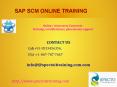 SAP SCM ONLINE TRAINING IN GARMANY PowerPoint PPT Presentation
