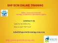 SAP SCM ONLINE TRAINING IN USA PowerPoint PPT Presentation