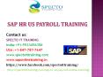 sap hr payroll training in usa,uk,canada,thailand PowerPoint PPT Presentation
