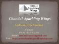 Chandak Sparkling Wings - Sparkling Wings - Dahisar East Mumbai - Price @ 02261054600 PowerPoint PPT Presentation