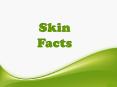 Skin Facts PowerPoint PPT Presentation