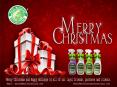 Merry Christmas from Pearl Waterless Products PowerPoint PPT Presentation