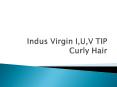 Do you want bulk hair| types of bulk hair PowerPoint PPT Presentation