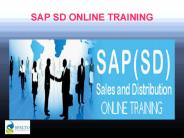 Sap SD Training Online Institute