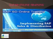sap sales  and distribution training online